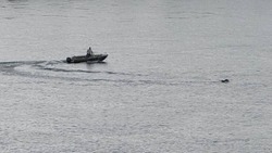 Енотаевцы понесут наказание за незаконную добычу особо ценных биологических ресурсов