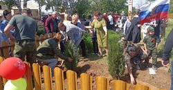 В селах Енотаевского района высаживают деревья в память о героях-земляках