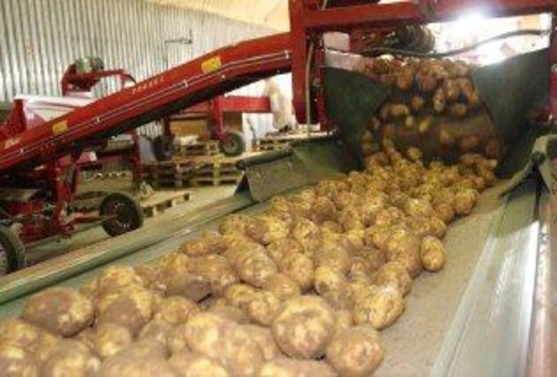  В Енотаевском округе подвели итоги сельскохозяйственного года