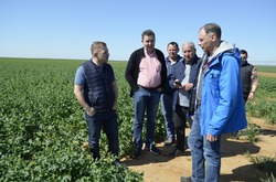 Фермеры Енотаевского района встретились с региональным министром сельского хозяйства