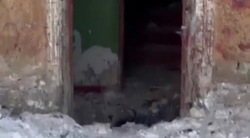 Куратор с Украины подорвал исполнителя теракта при задержании