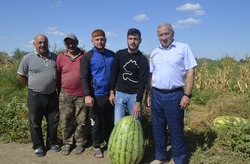 Енотаевский арбуз победил во Всероссийском конкурсе «Агробатл-2022»