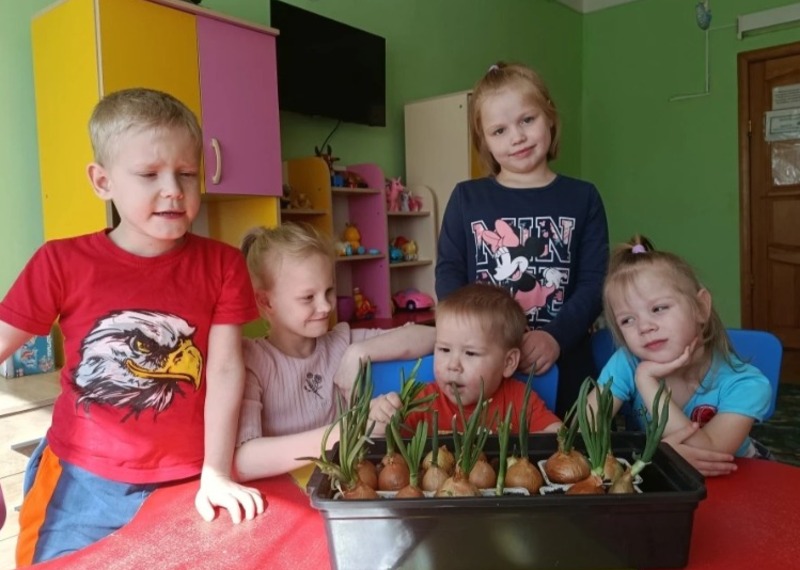 Воспитанники енотаевского приюта выращивают зелень на подоконнике